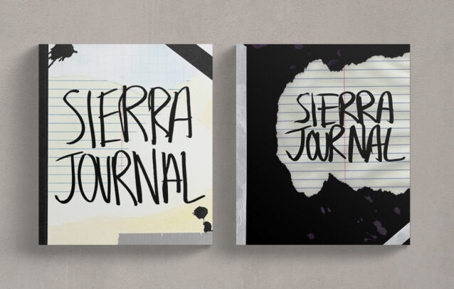 2coversalt2 2coversalt2